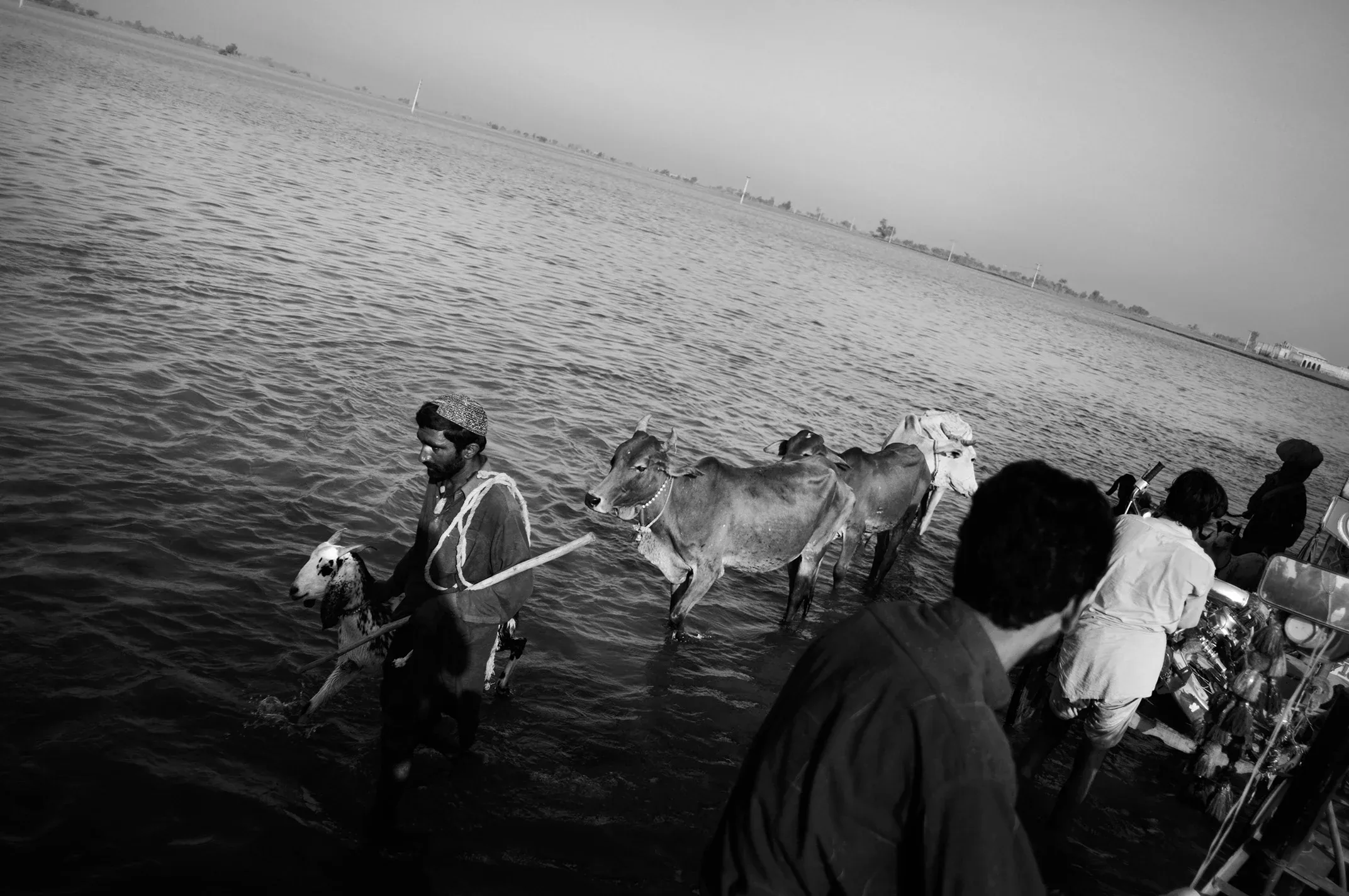 Flooding Aftermath in Pakistan, Sindh and Balochistan, 2010. Photograph 41 of 70.