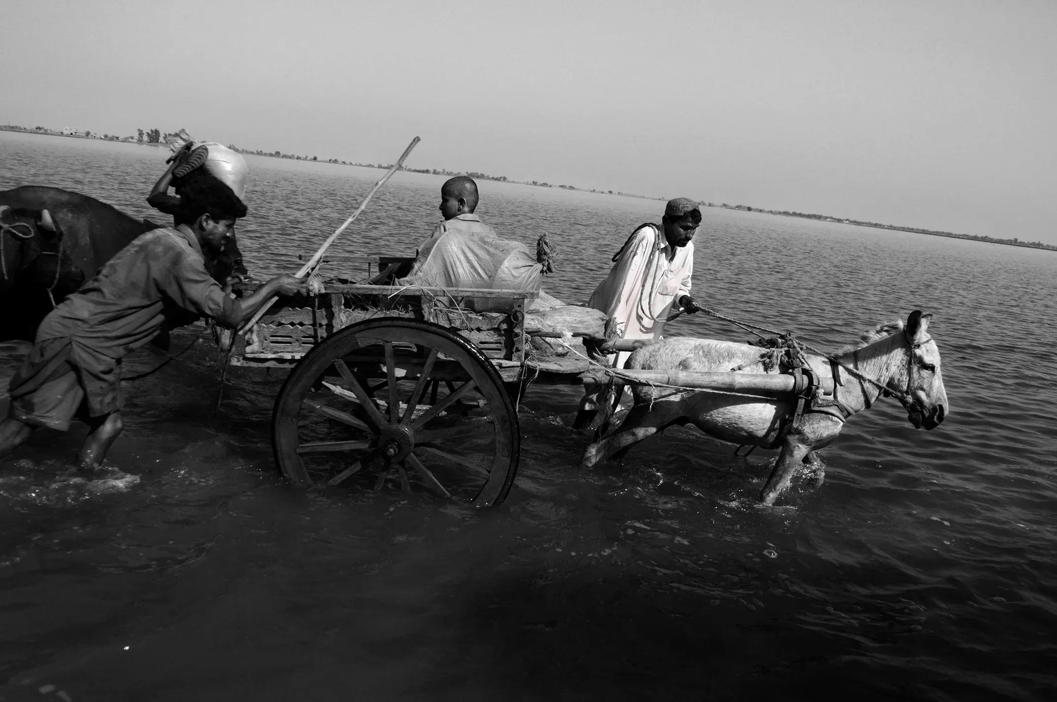 Flooding Aftermath in Pakistan, Sindh and Balochistan, 2010. Photograph 49 of 70.